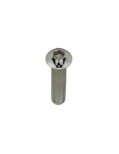 Brake Cantilever Mounting Bolt M6x25mm Chrome.